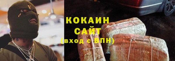 spice Няндома