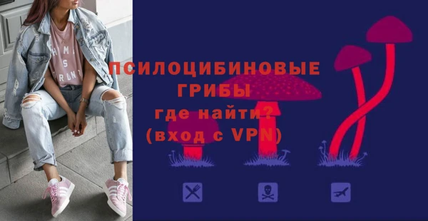 амф Нязепетровск