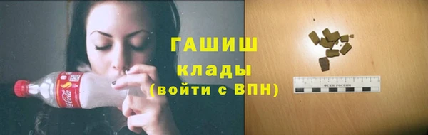 spice Няндома