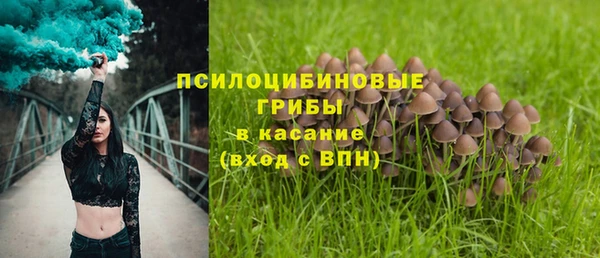 амф Нязепетровск