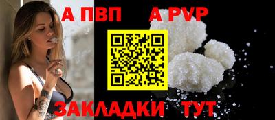 кокс Кингисепп