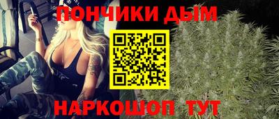 кокс Кингисепп