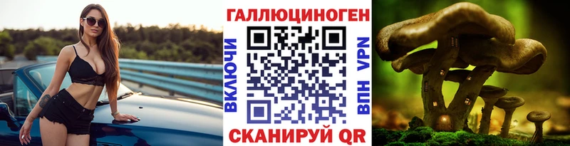 Галлюциногенные грибы Cubensis  МЕГА tor  Печора 