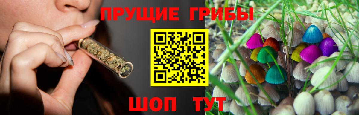 Галлюциногенные грибы Magic Shrooms Печора